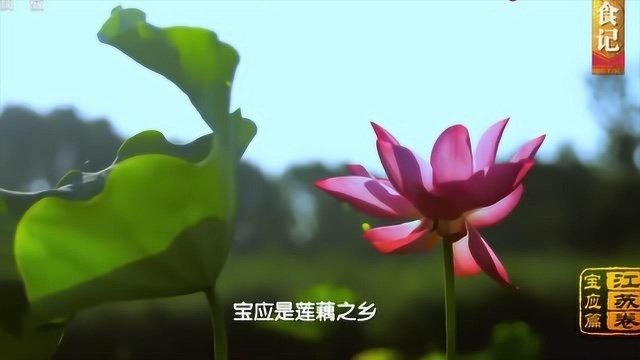 中国影像方志:宝应人逢年过节的舌尖美食曾是皇室贡品