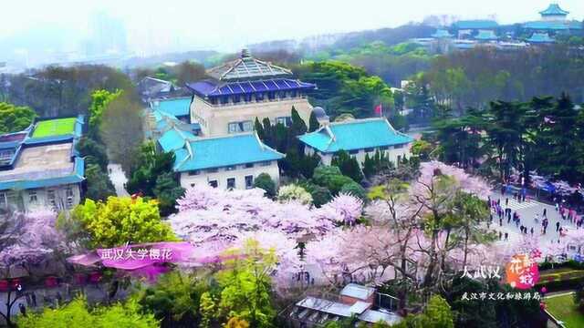 花点时间游武汉:开往春天的列车