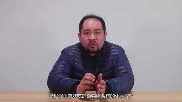 被称为“鱼咬石”的DMPT,具体什么成分能提高鱼的摄食增大上钩率