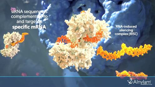 RNAi(RNA干扰)技术的原理_腾讯视频