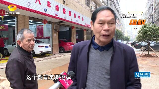 公共通道冒出两棵树,原是业主“求关注”