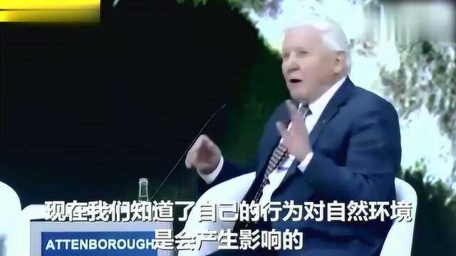 英国王子在世界经济论坛上采访大卫ⷧˆ𑧙𛥠᧠𔥝自然将毁灭人类