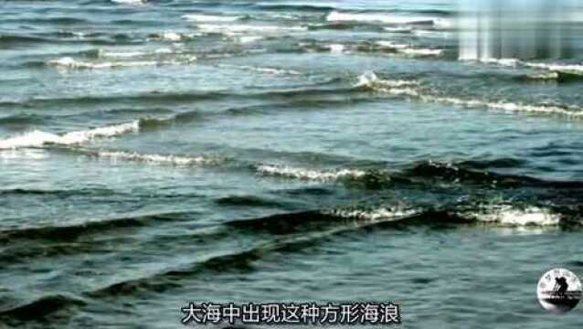 你见过方形海浪嘛,它们是怎么形成的?不要轻易靠近哦