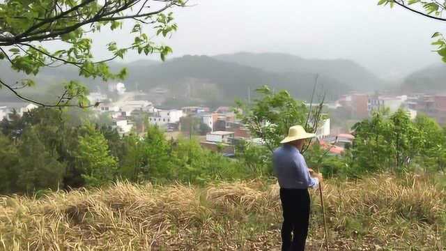 黄进士祖坟风水,风水大师王君植赴安徽六安实地风水讲解视频