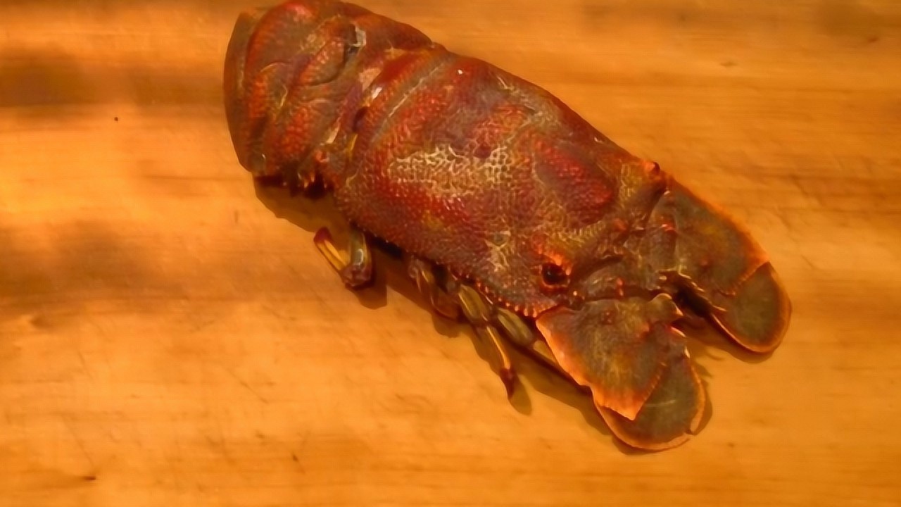 这种有着硬壳长相奇怪的虾叫什么名字日本大厨教你用它做出美味