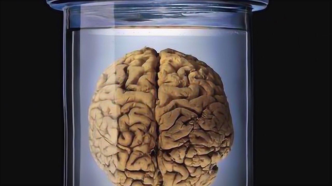 细思极恐缸中之脑实验将大脑放到缸中用感觉支配生活