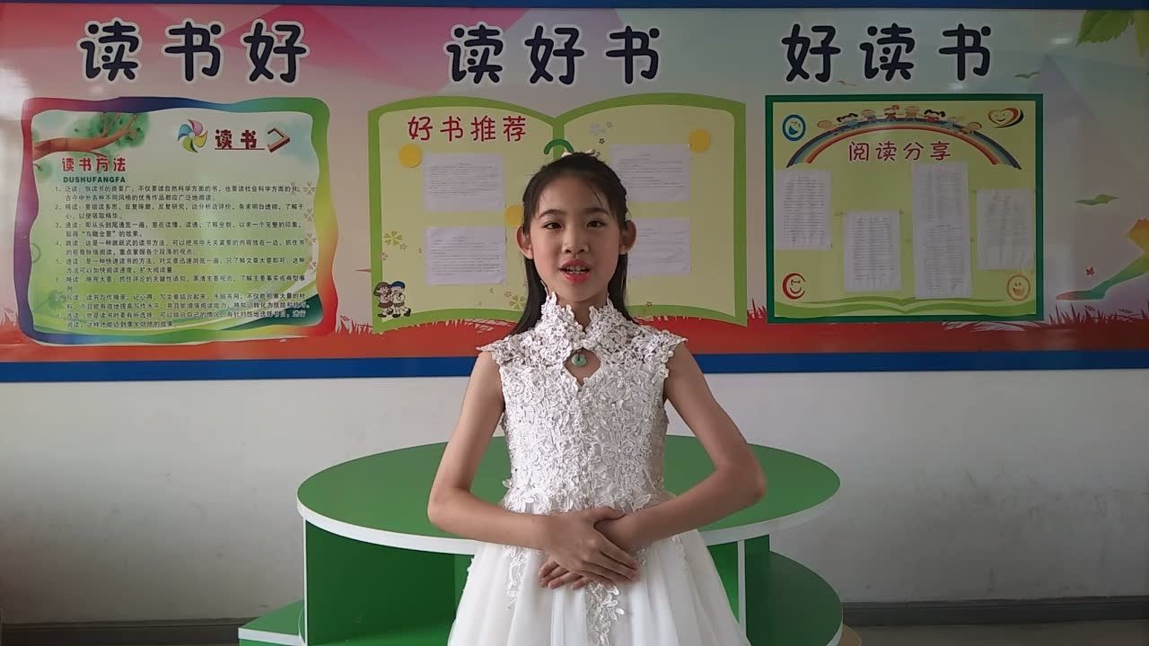 035-佛山市禅城区南庄镇罗南小学 罗嘉莉