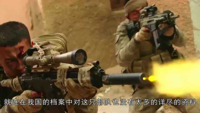 我国骇人听闻的影子部队,实力到底有多恐怖?