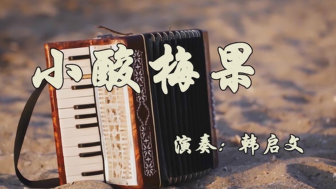 手风琴演奏白俄罗斯民歌《小酸梅果》欢快好听的手风琴乐曲