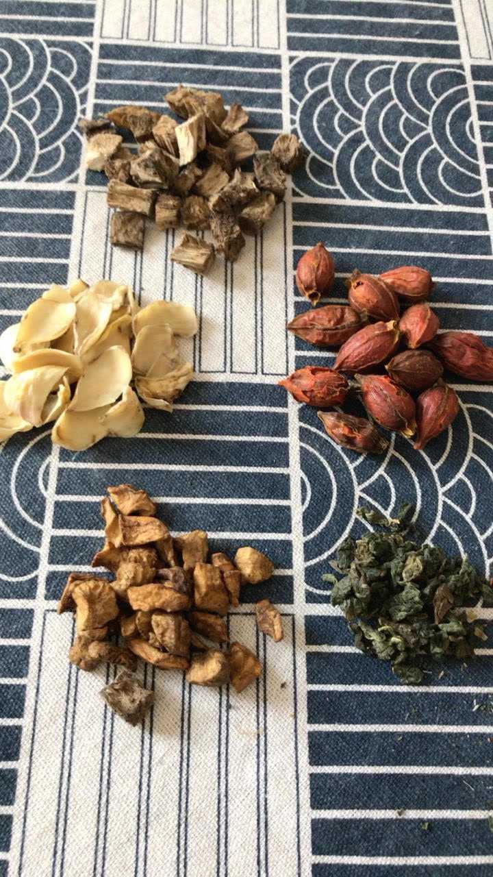 降尿酸治疗痛风中药茶疗菊苣根栀子百合葛根桑叶