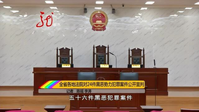 黑龙江省各地法院对24件黑恶势力犯罪案件公开宣判