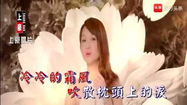 林良欢一曲《露水情缘》,好听分享