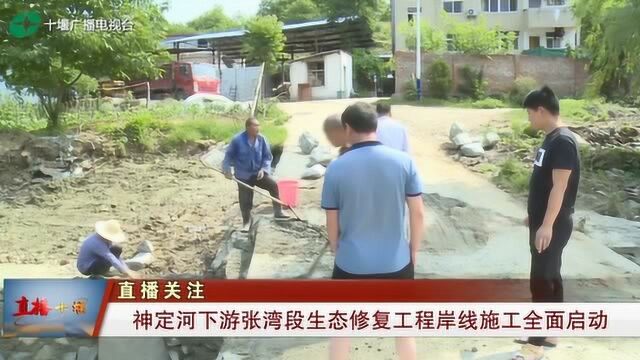 十堰:神定河下游张湾段生态恢复工程岸线施工全面启动