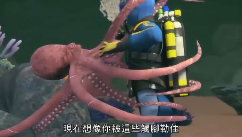 潜水员在深24米的海域被巨型章鱼缠住 如果是你会选择如何逃生