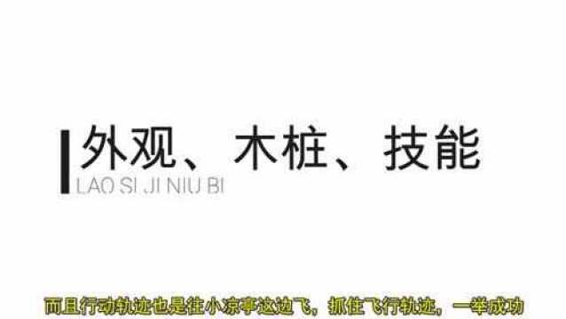 魔兽世界可怜的灵魂兽又一次被吊打了!紫色角鹰兽灵喙