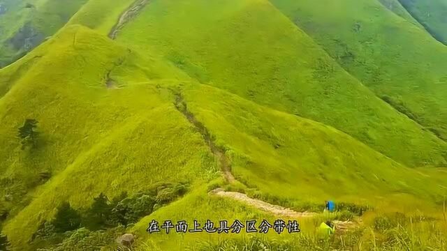 江西武功山:一个没到让你走不动的地方