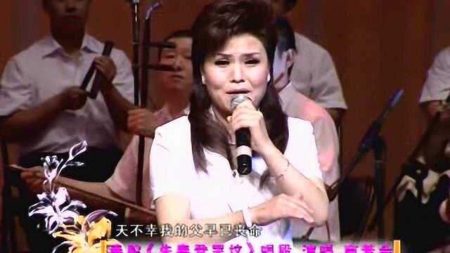 秦腔《朱春登哭坟》唱段 演唱:商芳会