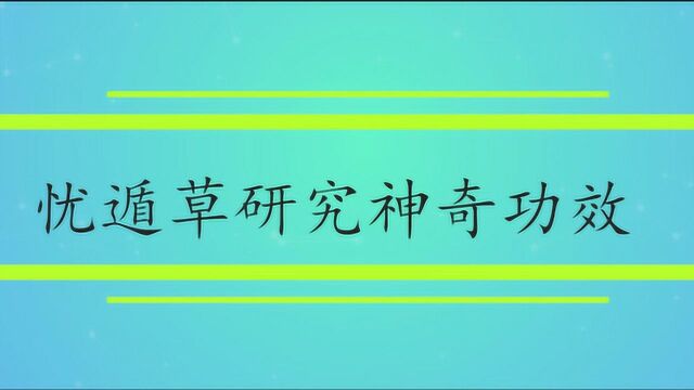 忧遁草国内外研究神奇功效