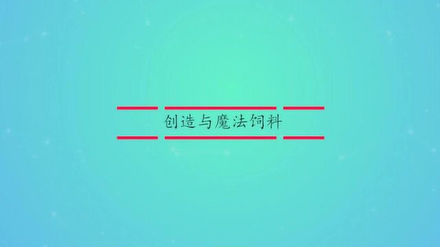 创造与魔法的饲料制作方法