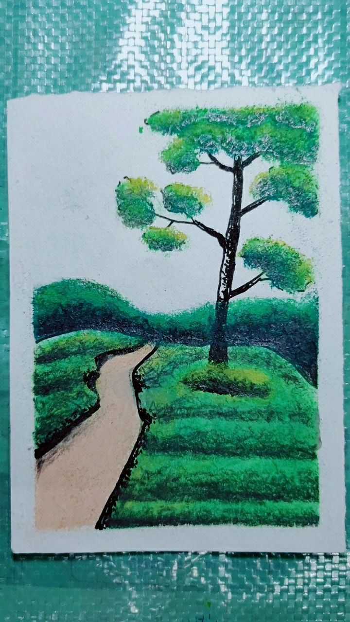 一起来学习画远景草地树林