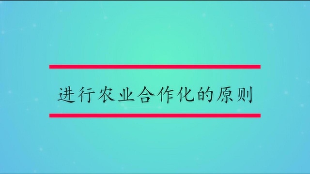 进行农业合作化的原则