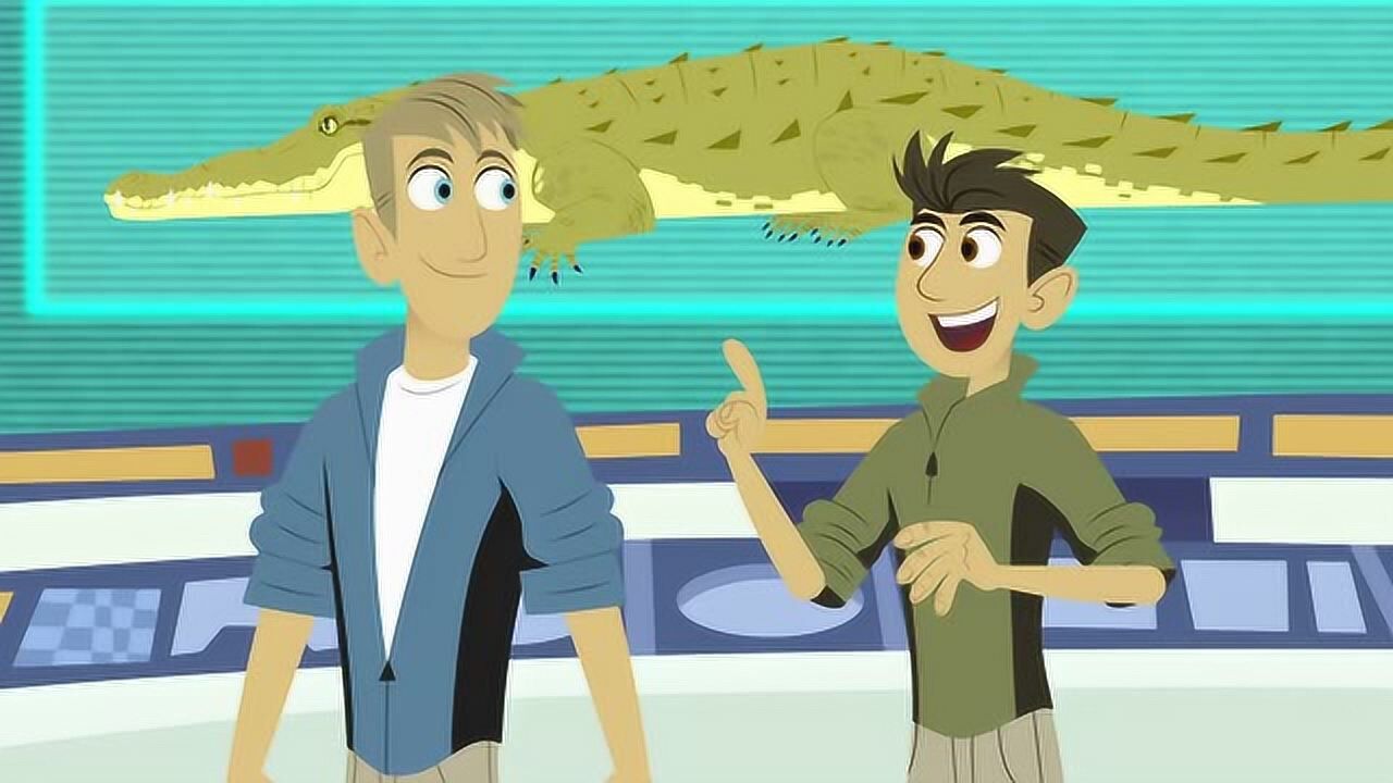 动物兄弟马丁要和克里斯比赛找出鳄鱼和短嘴鳄的区别