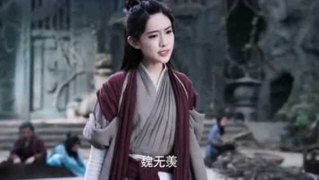 陈情令 :魏无羡种孩子,温情来了!