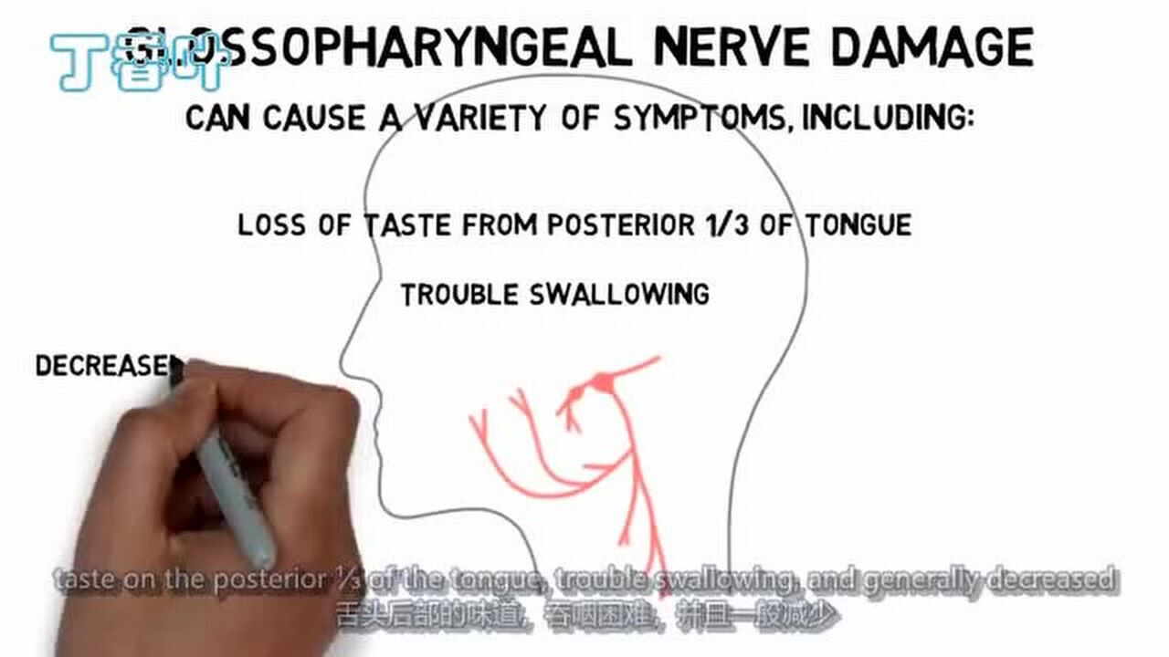 2分钟神经科学舌咽神经(颅神经IX)腾讯视频}