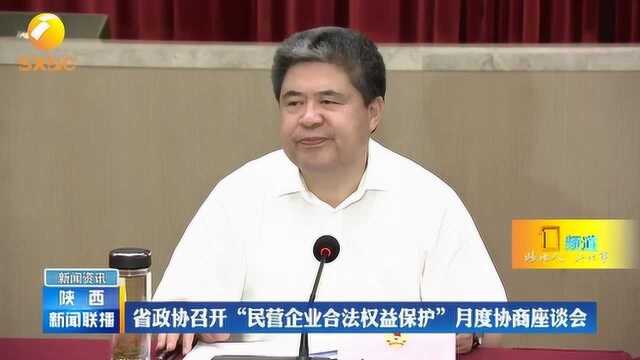 陕西省政协召开“民营企业合法权益保护”月度协商座谈会