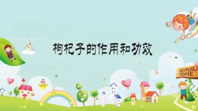 枸杞子的作用和功效