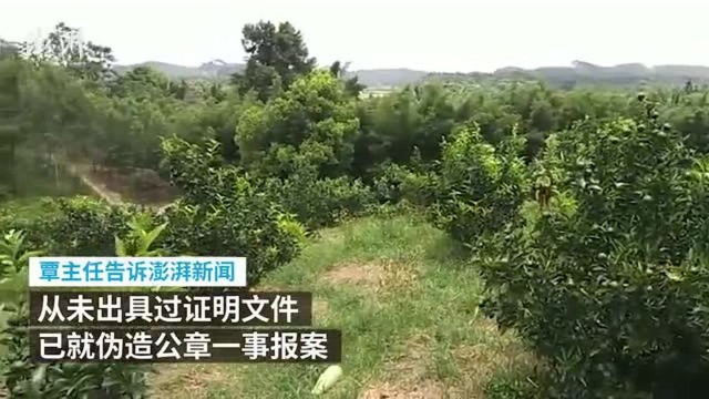 被冒名办千万贷款开空壳公司?工商调查