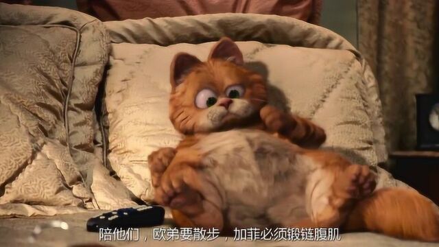 加菲猫2:再伟大的猫,天天吃了睡睡了吃,也得忘了自己的初衷