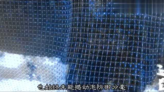 【文曰速读速读《上海堡垒》24万字长篇科幻爱情小说原著:江南