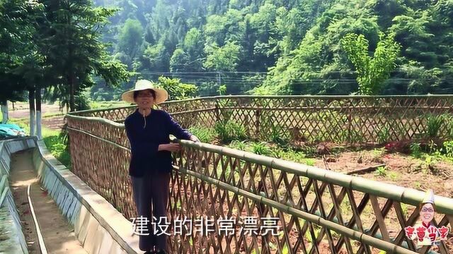 江西农村小县城打造旅游县,免费帮村民围竹篱笆,建设美丽乡村