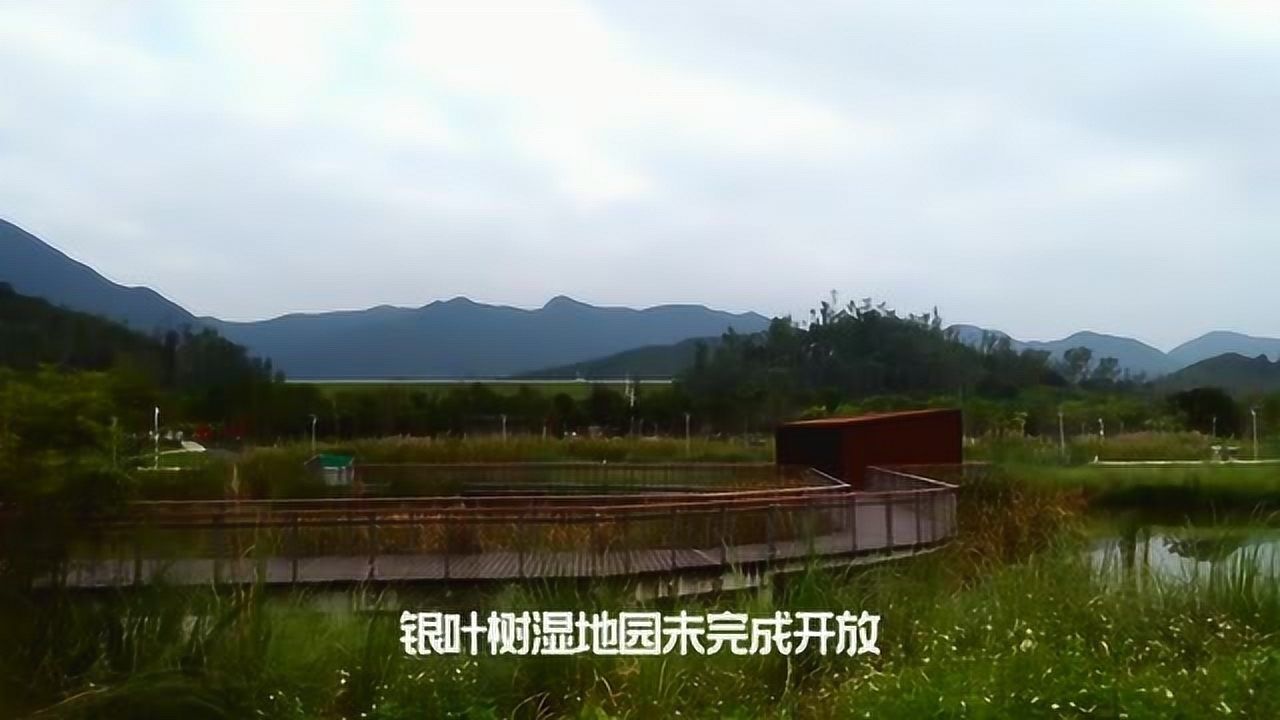 壩光銀葉樹溼地公園