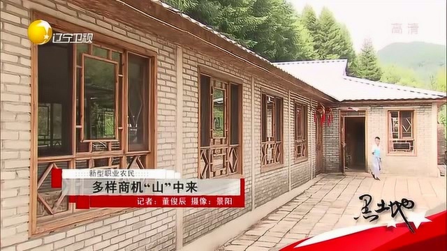 辽宁:多样商机“山中来”,足不出山把钱赚