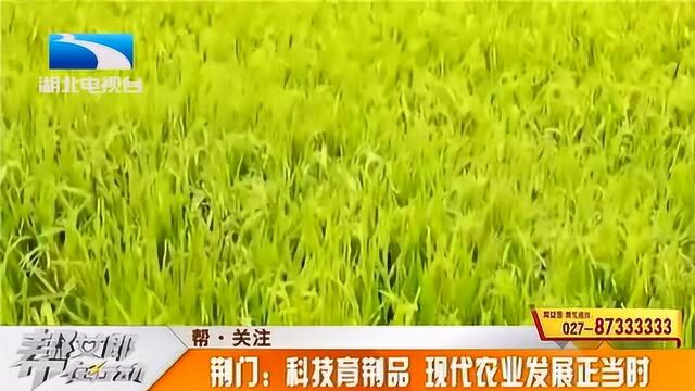 荆品名门科技育精品,为农业发展打开新思路