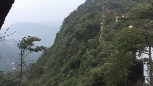 沂蒙山区好风光