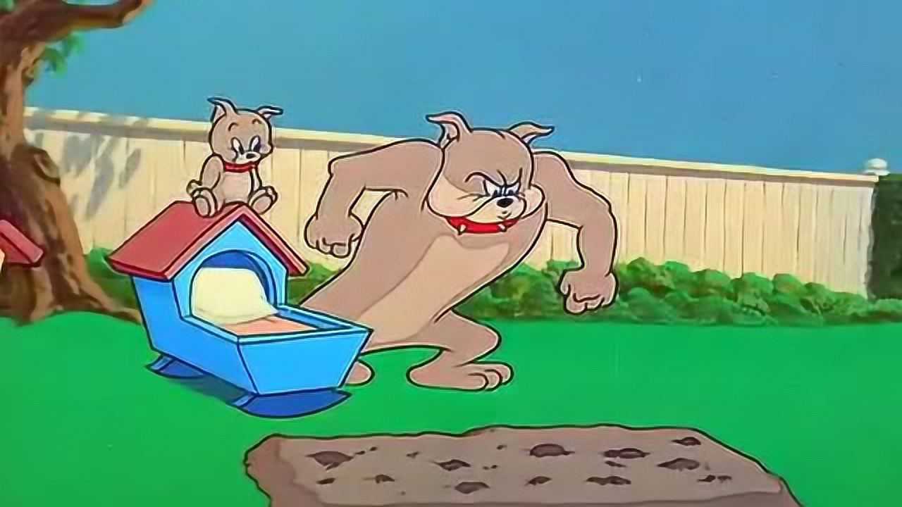 猫和老鼠汤姆自掘坟墓当场去世时间为9102年