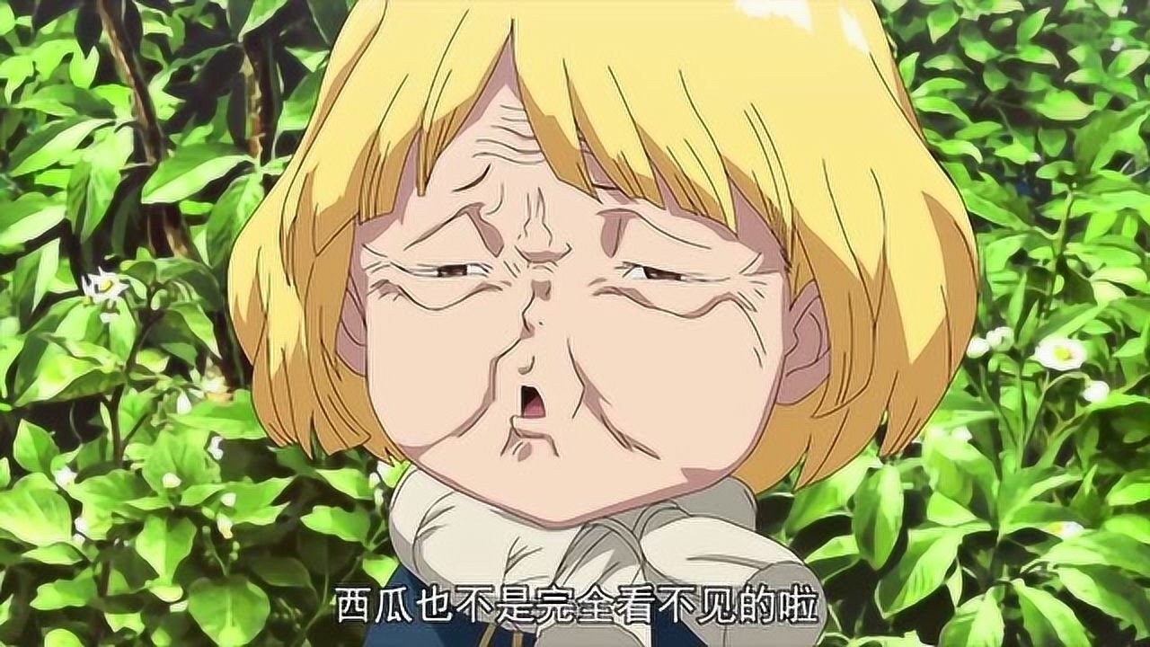 石纪元摘下头盔的西瓜原来长这样也太可爱了吧