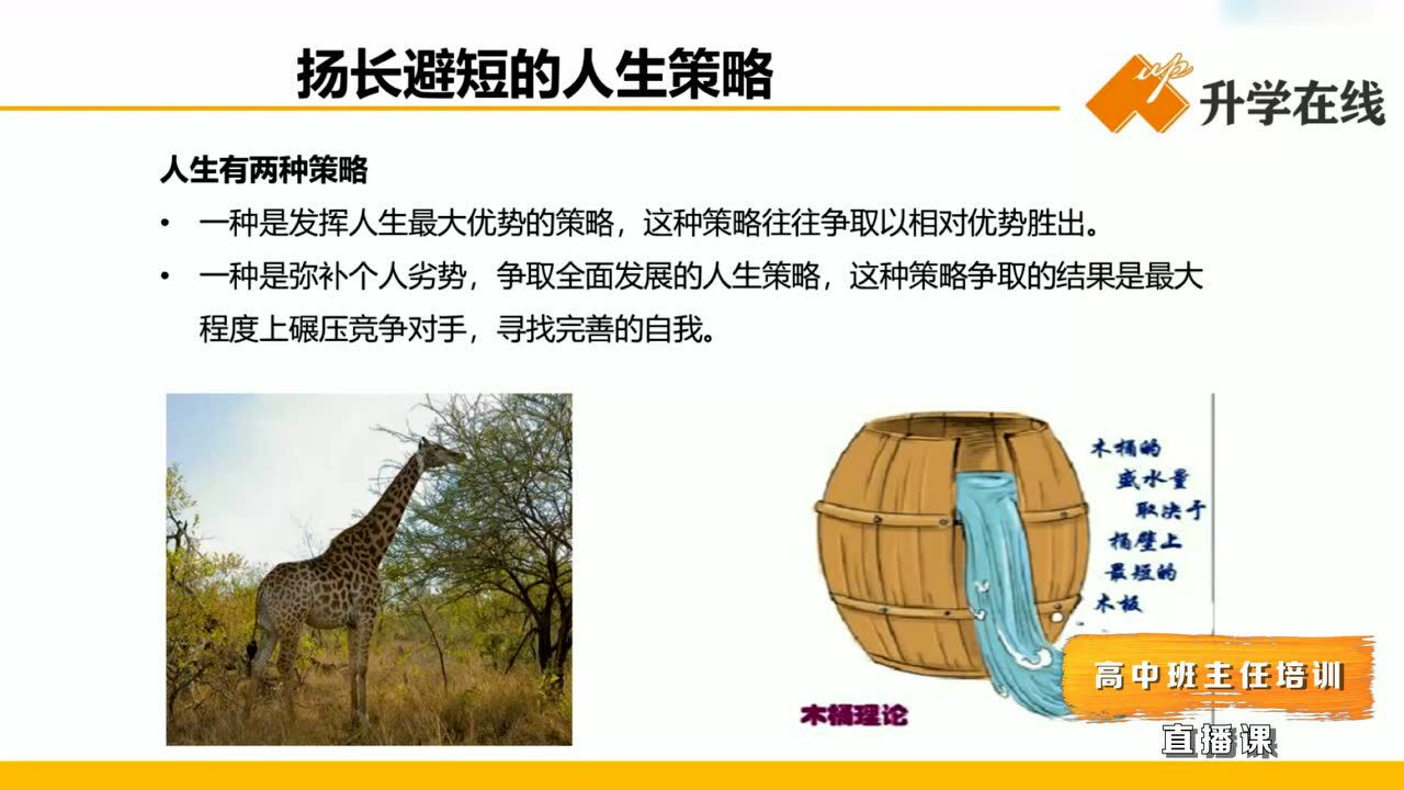 高中生生涯规划概述_高清