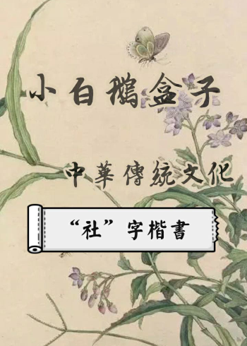 "社"字楷书