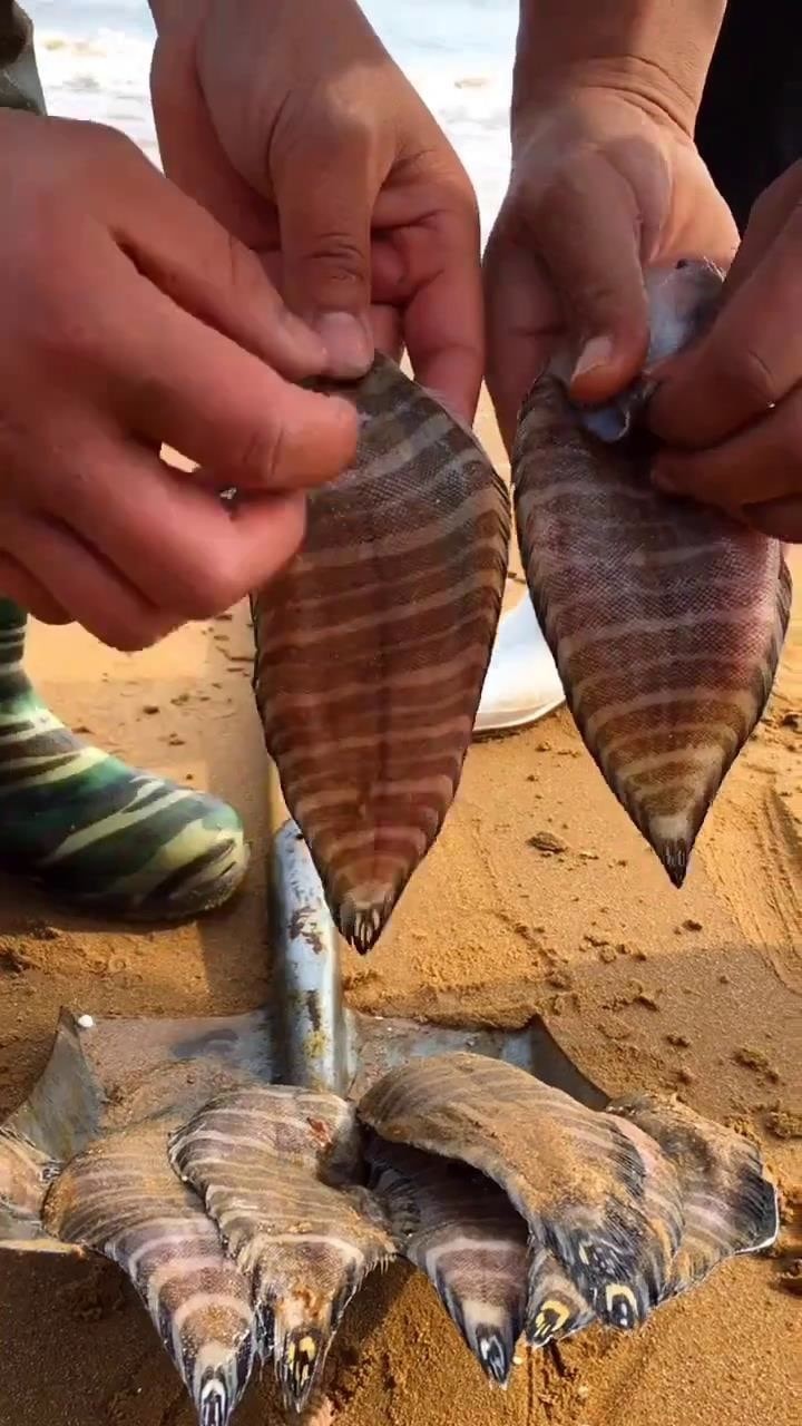 舌头鱼扒皮图片