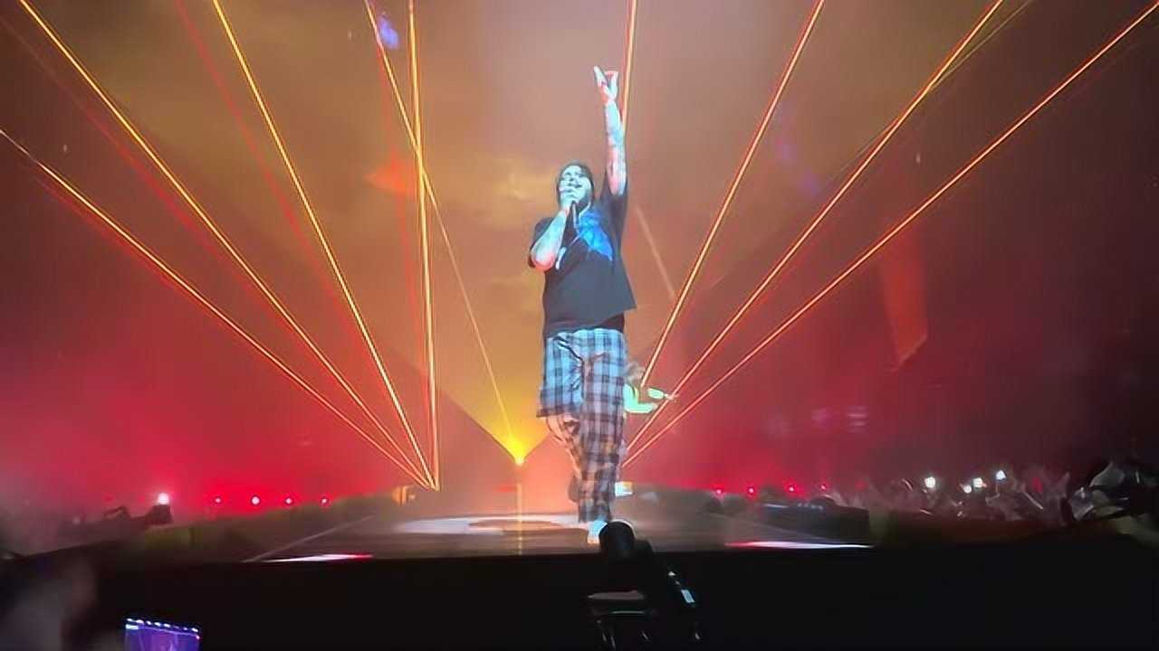 波兹马龙postmalonesunflower