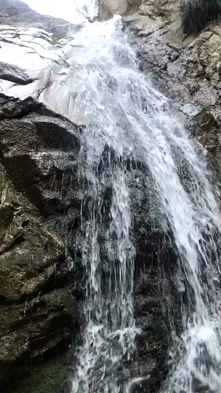 黄柏峪蜿蜒曲折而深邃如苍龙出秦岭过去人称苍龙峪后因峪口多植黄柏树