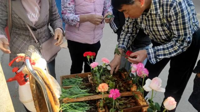 金官市场基本饱和,一早上卖了500多块钱,华哥很满足