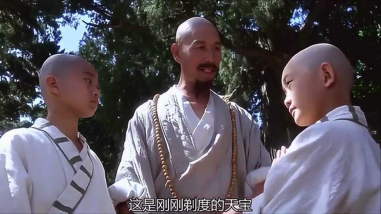 太极张三丰小时候君宝和天宝在少林寺十分惹人喜爱