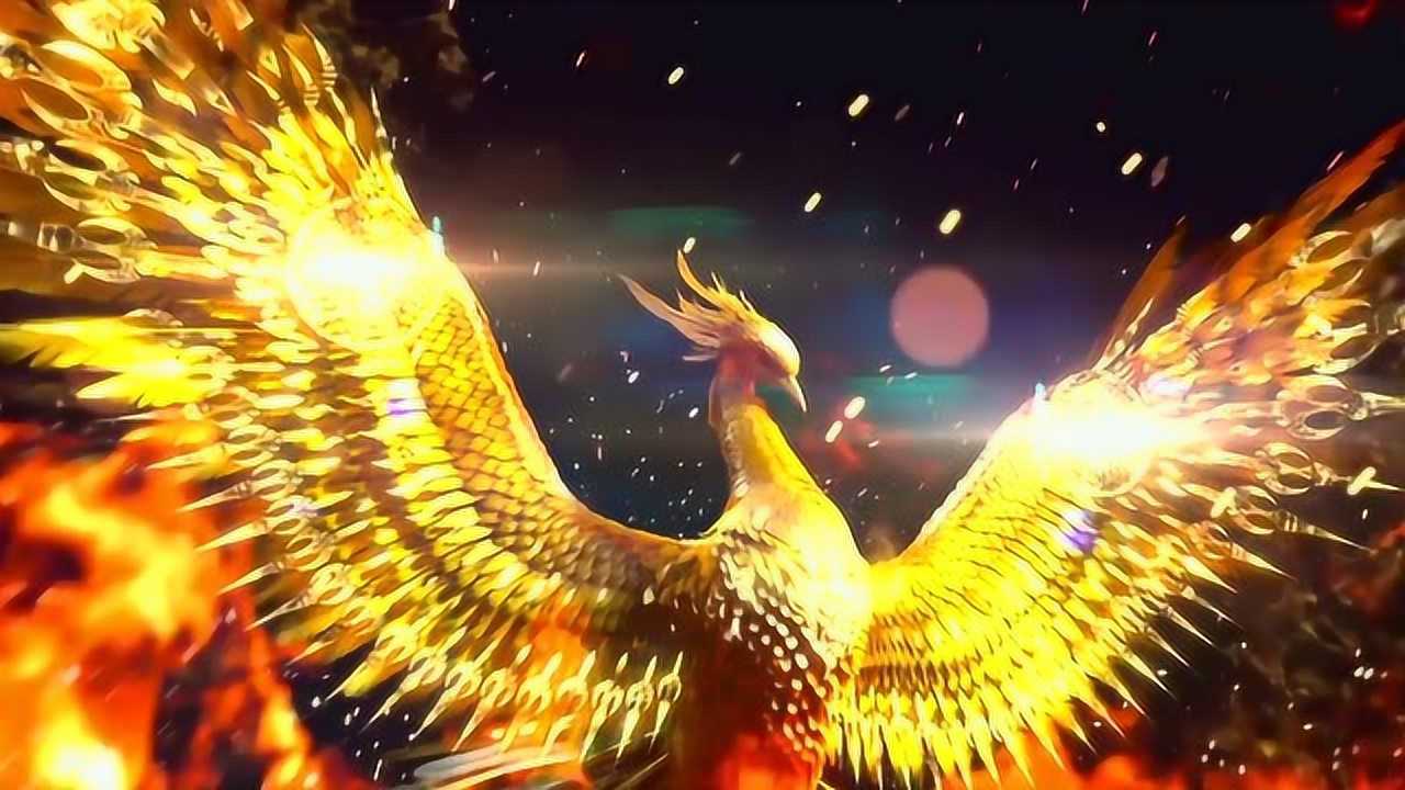 凤凰涅槃视频素材特效