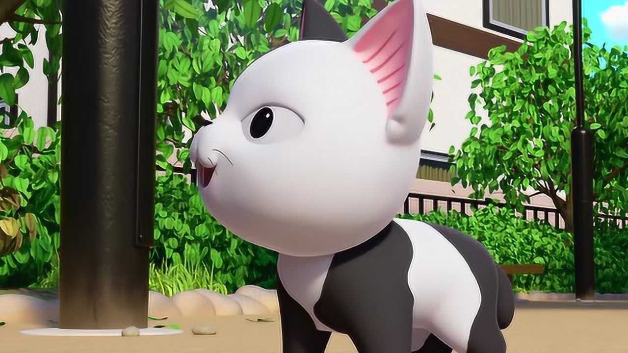 甜甜私房猫可奇你真棒哦