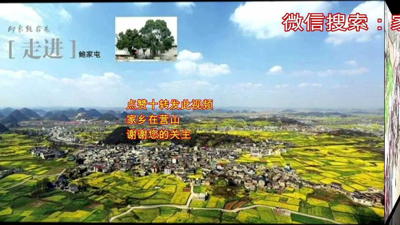 营山西桥镇图片